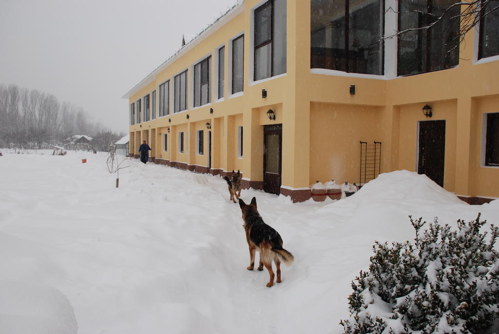 Villa Giulia Islaz Exterior foto